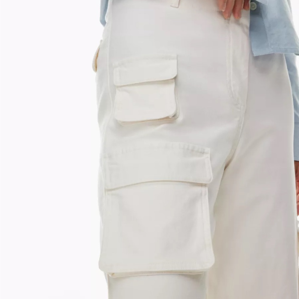 Aritzia Wilfred Free Picture Cargo Pants